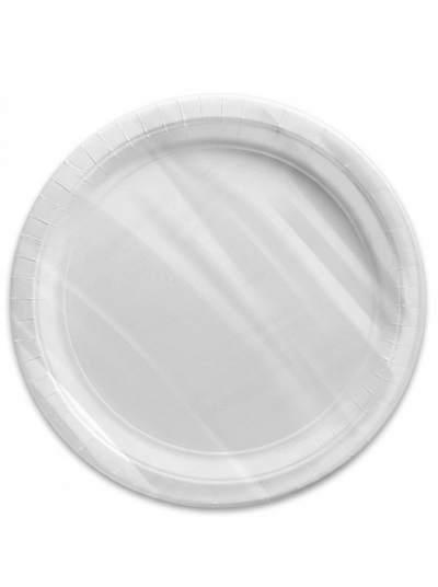 22 cm Diameter Medium Size Round Plate